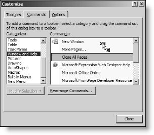 Customize Dialog Box.