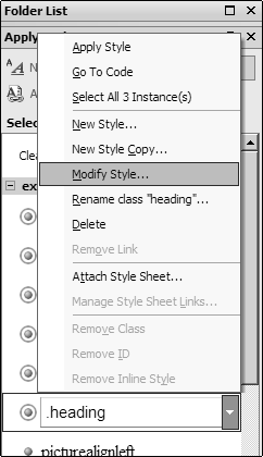 Modify Style Menu Selection.